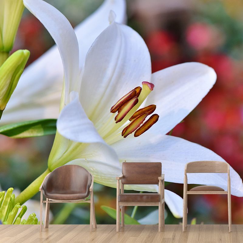 Lily Mural Wall Covering for Living Room Decorative Mildew Resistant Wallpaper