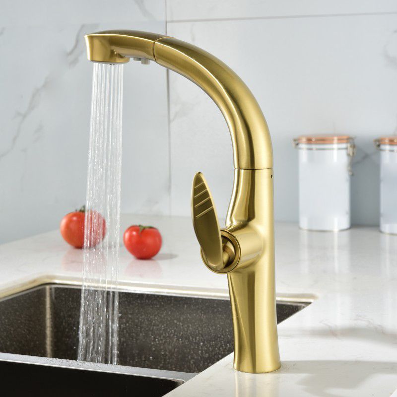 Contemporary Single Handle Kitchen Faucet Pull Out Desk Mounted Faucet