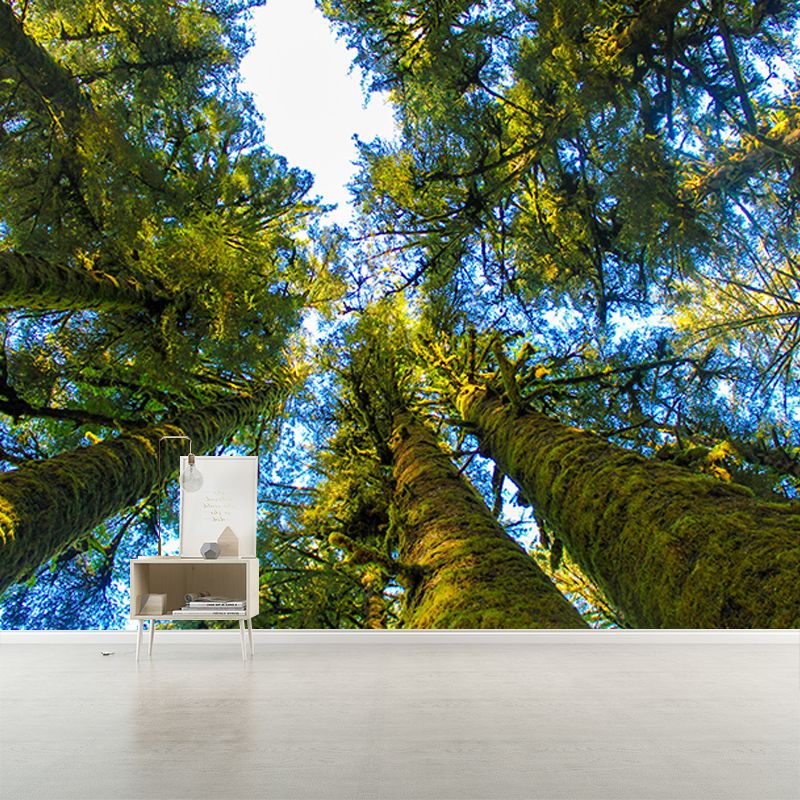 Wall Covering Contemporary Photography Forest Wall Mural Wallpaper Bedroom