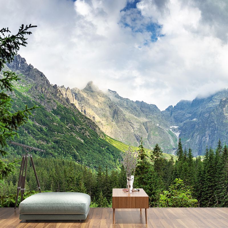 Modern Mountain Environment Friendly Mural Wall Covering for Sleeping Room