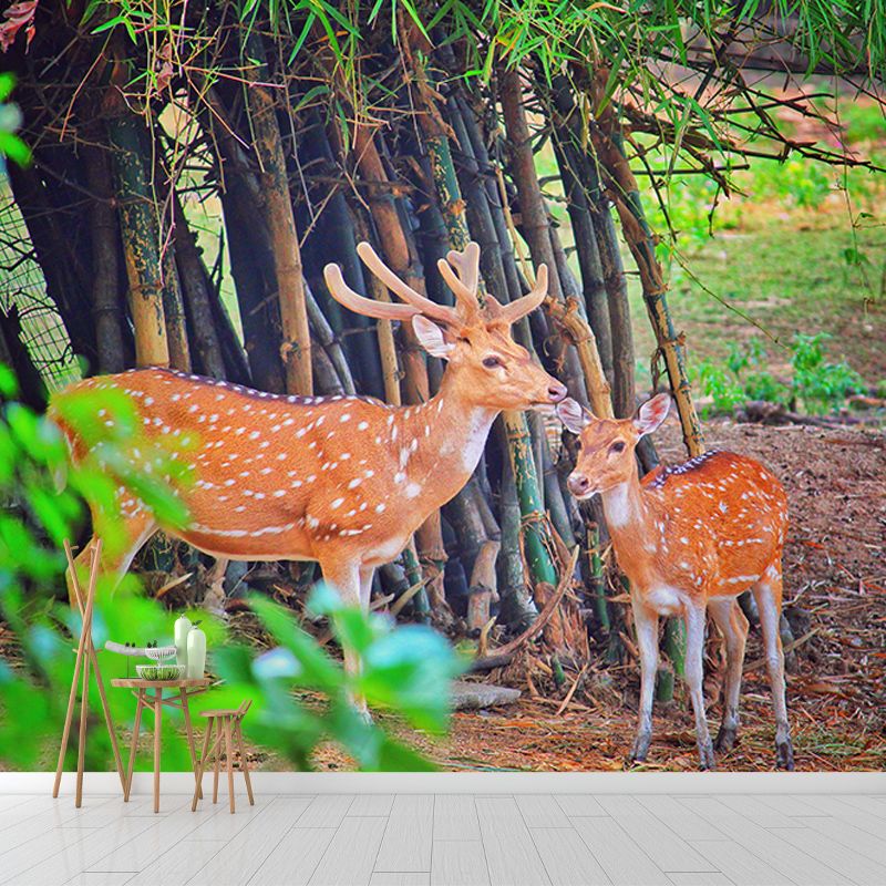 Deer Animal Mural Wallpaper for Bedroom Decor Moisture Resistant, Made to Measure