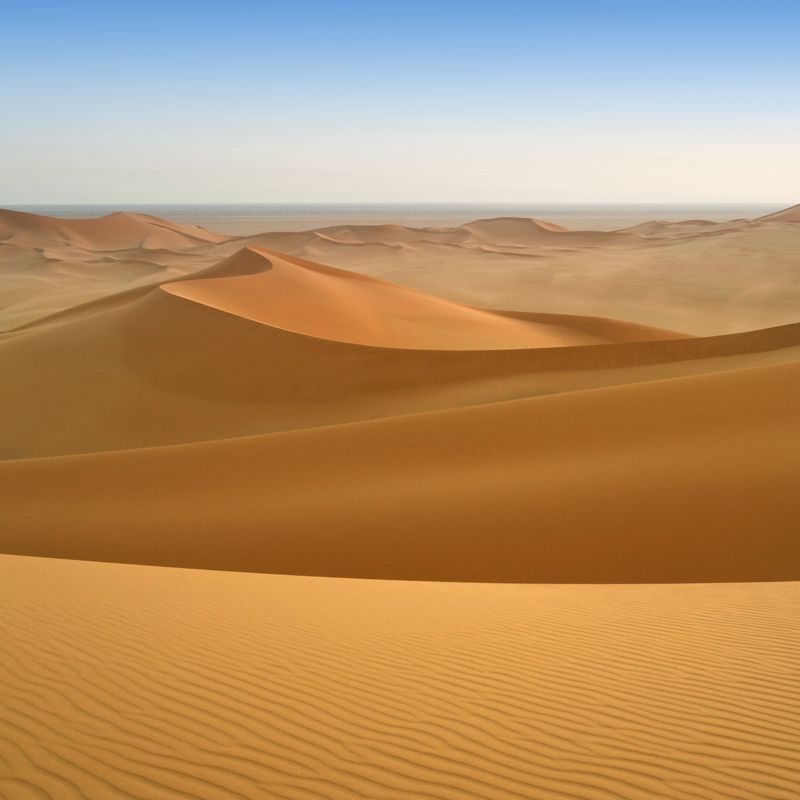 Vast Desert Scenery Wall Mural for Dining Room Natural Landscape Wall Covering, Custom Print