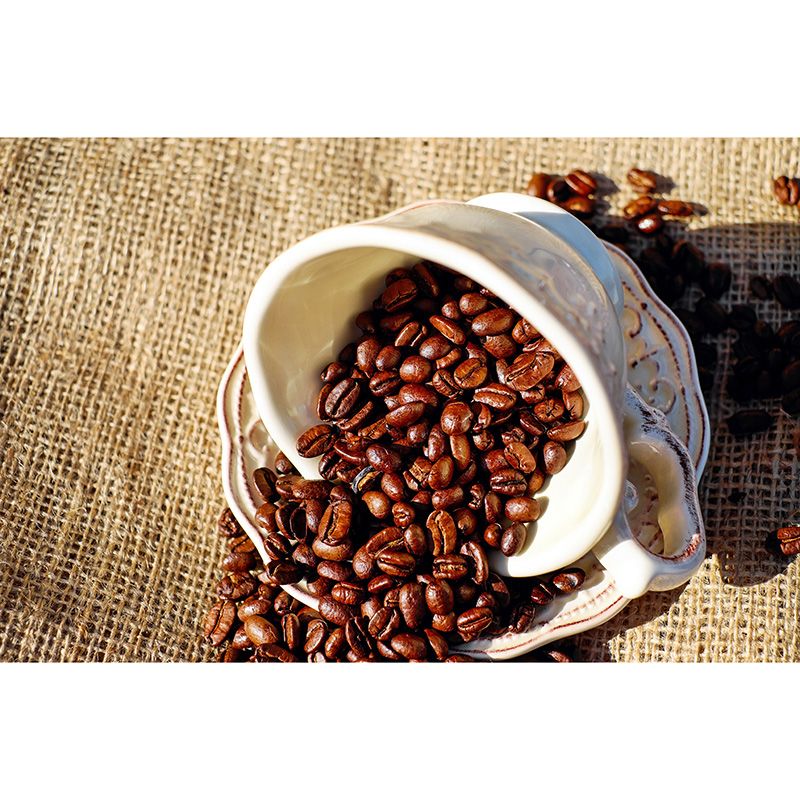 Modern Coffee Bean Mural Wallpaper Stain Resistant Wall Covering for Coffee Shop