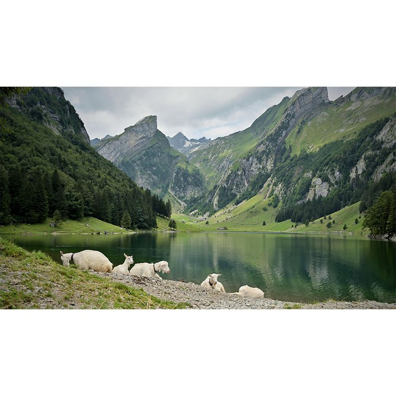 Tall Mountain Mural Wallpaper Modern Style Mildew Resistant Office Wall Mural