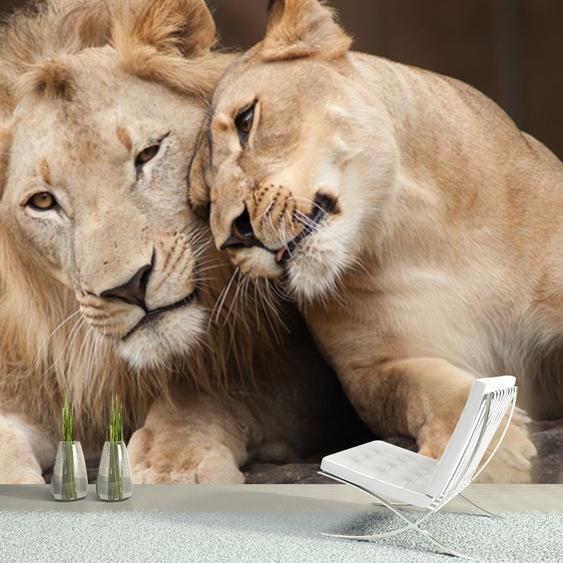 Brown Lover Lion Wallpaper Mural Waterproofing Wall Art for Living Room, Made to Measure