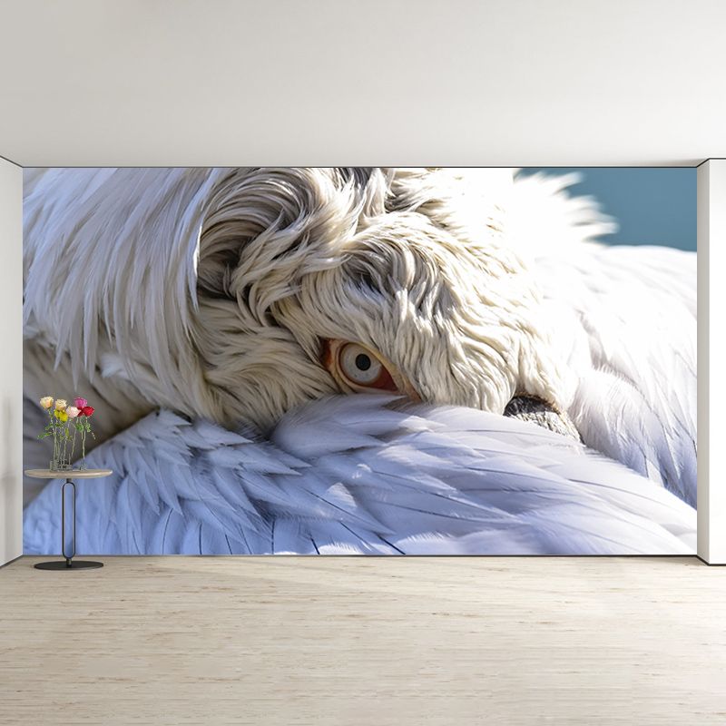 Pelican Animal Mural for Home Decor Moisture Resistant, Made to Measure