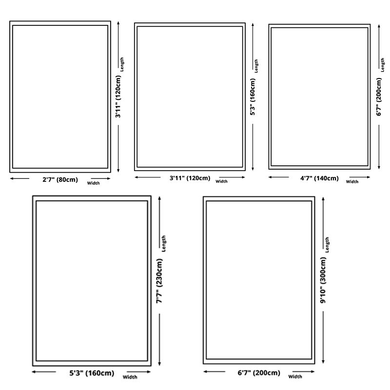 Modern Area Rug Polyester Graphic Rug Stain Resistant Area Carpet for Living Room