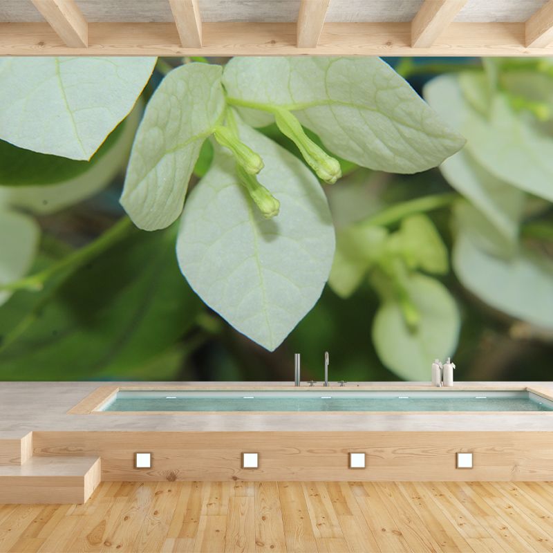 Green Leaf Mural Wallpaper Moisture Wallpaper Resistant for Bedroom Decor