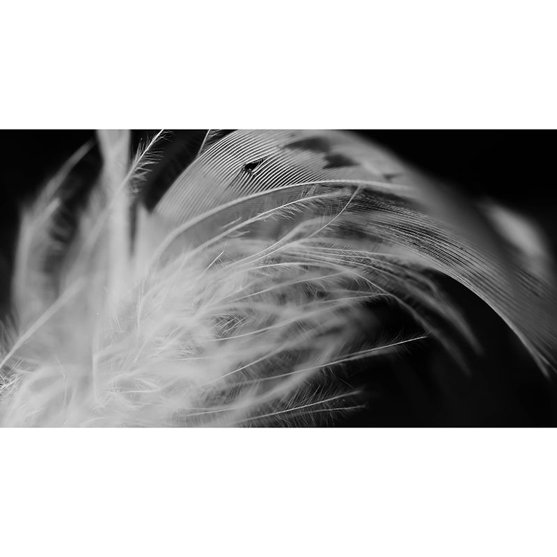 Beautiful Feather Wall Decor for Bedroom Moisture Resistant, Custom Size Available