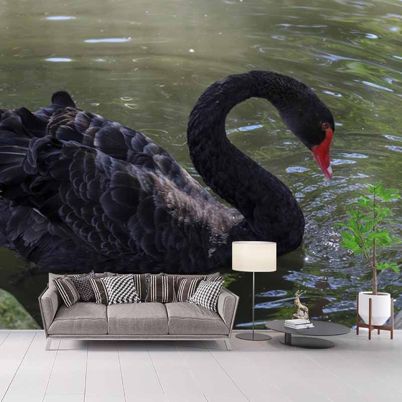 Photography Black Swan Wall Mural Decorative Mildew Resistant for Living Room