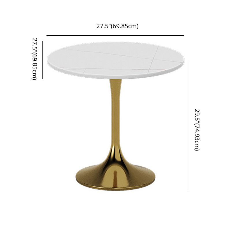 Glam Sintered Stone Dining Room Set with Round Table Formal Dining Table Furniture