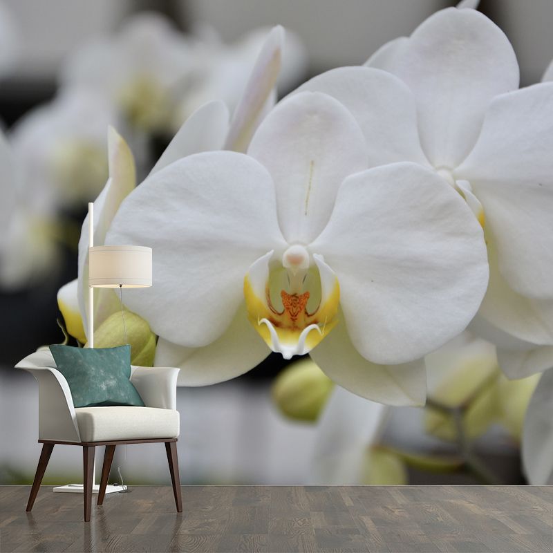 Beautiful Orchid Mural Stain Resistant Wall Covering for Sleeping Room