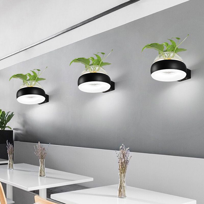 Iluminación de pared de cúpula de vidrio transparente 1 lámpara de apliques de pared LED de dormitorio de dormitorio en negro/gris/blanco con recipiente de plantas