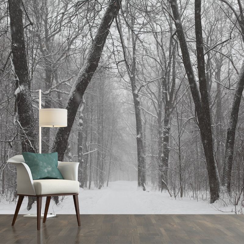 Modern Forest Wall Mural Decor Horizontal Photography Eco-friendly for Decoration