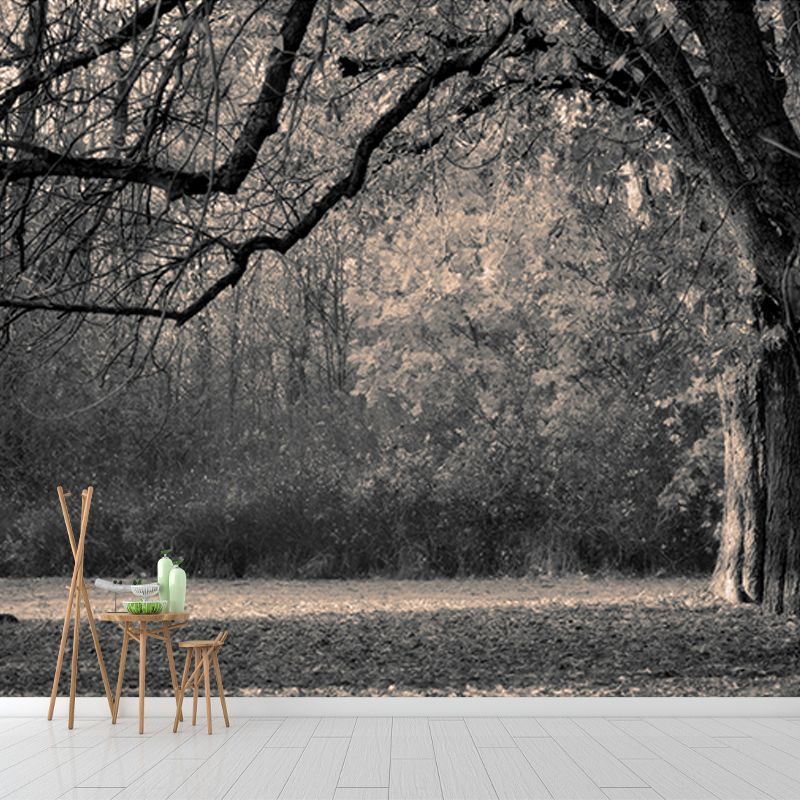 Photography Wall Mural Wallpaper Forest Scenery Sitting Room Wall Mural
