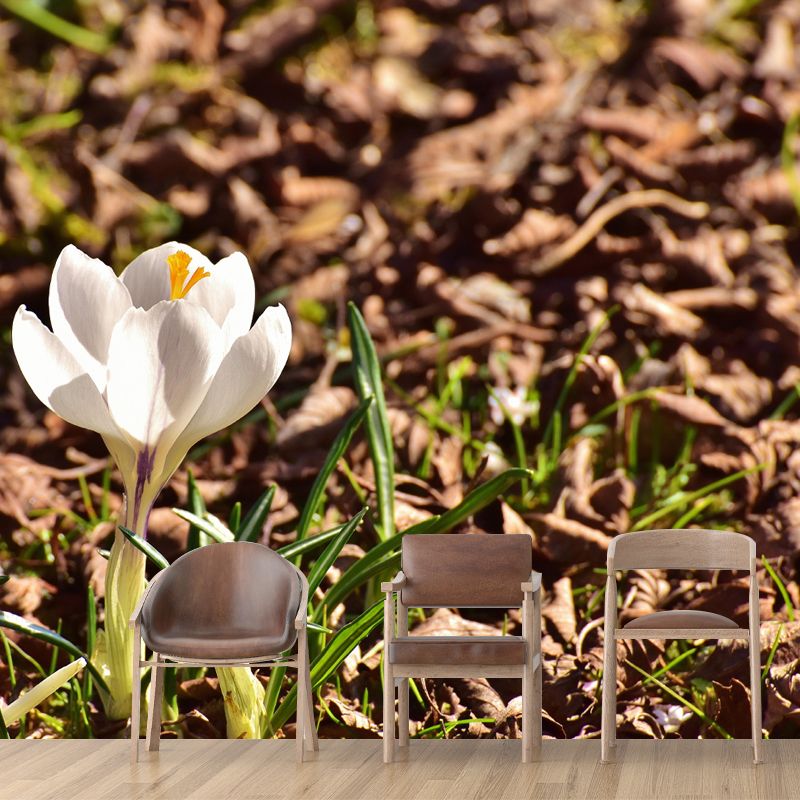 Blooming Saffron Environment Friendly Mural Wall Covering for Sleeping Room