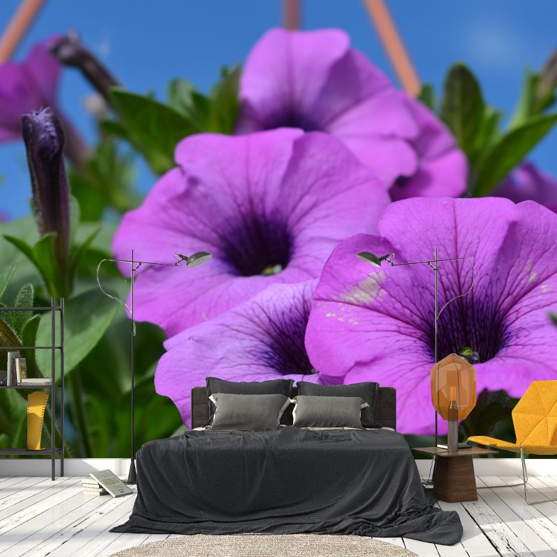 Morning Glory Mural Wallpaper Contemporary Bathroom Wall Covering, Waterproofing