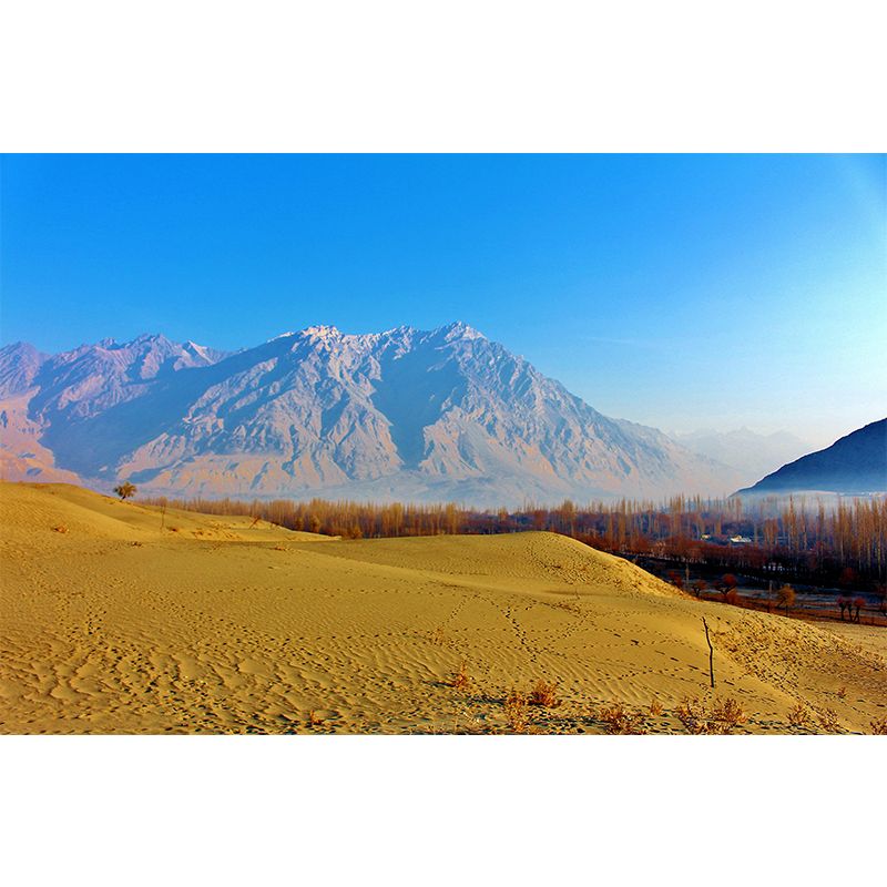 Desert Mural Contemporary Photography Style Wallpaper Mildew Resistant for Decoration