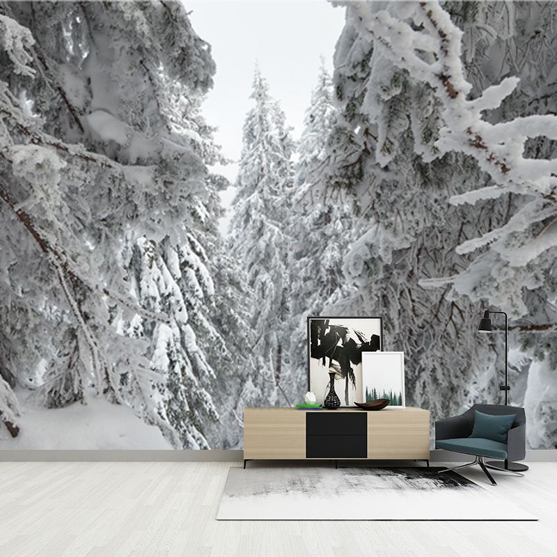 Cypress Forest after Snowfall Mural Grey Scandinavian Wall Covering for Accent Wall