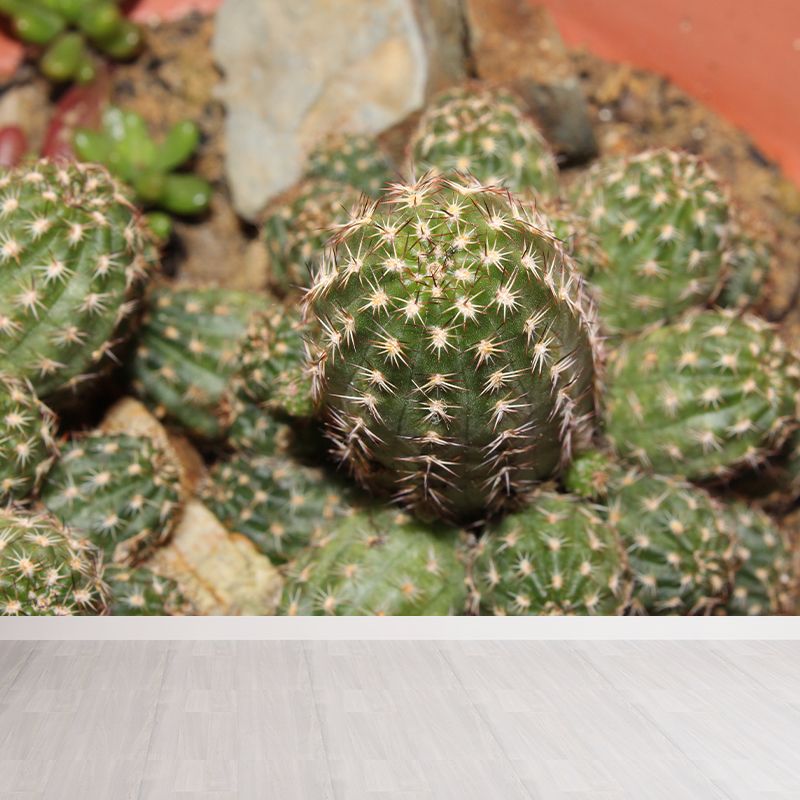 Tropical Green Plant Wall Mural for Bar Decoration Waterproof, Customized Size