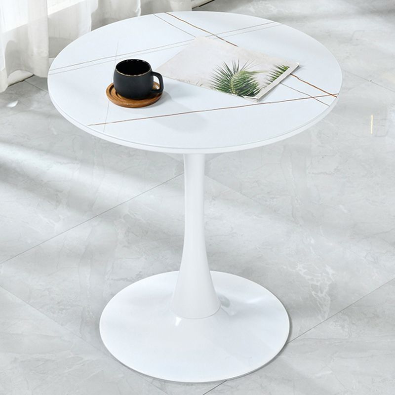 Round Shape Dining Table Simplicity Style Tulip Base Table for Dining Room