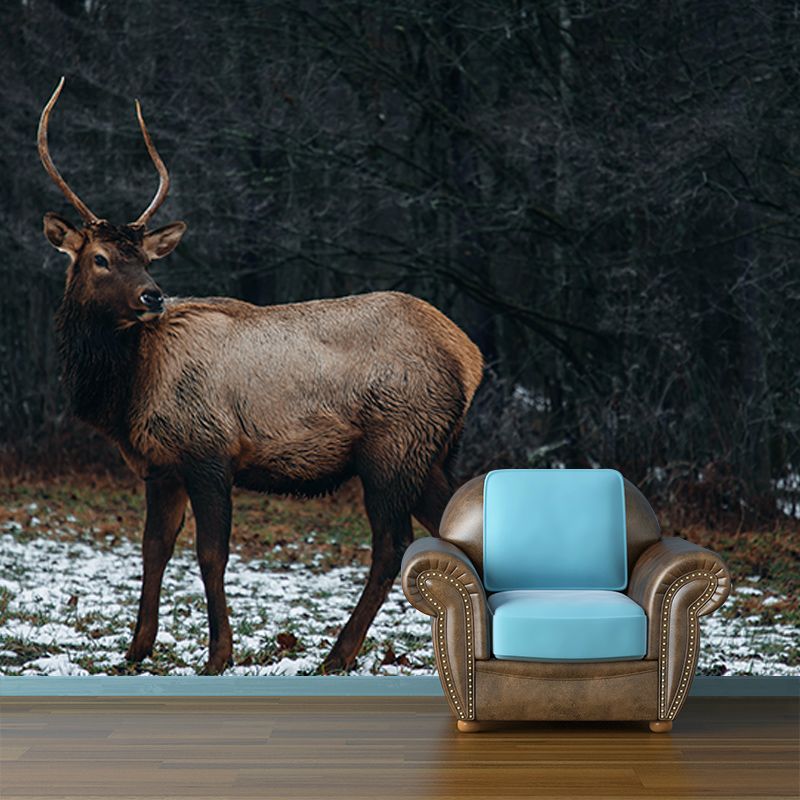 3D Mural Contemporary Style Wild Animal Mural Mildew Resistant Wall Art