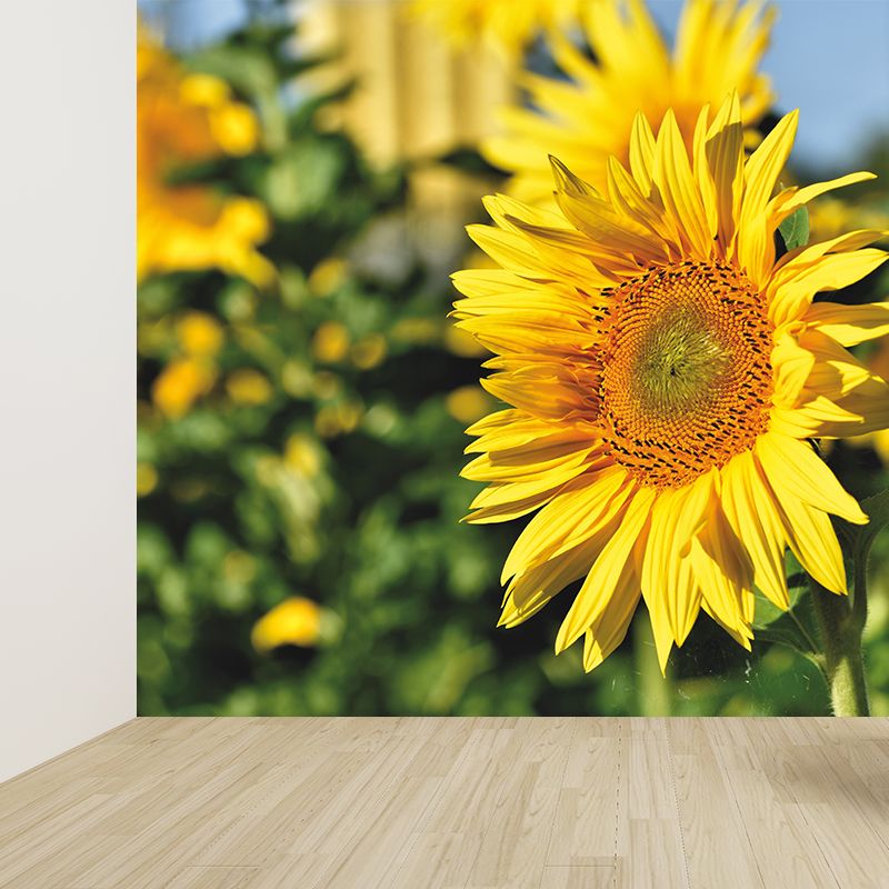 Yellow Sunflower Scenery Mural Wallpaper for Meeting Room Decoration, Washable