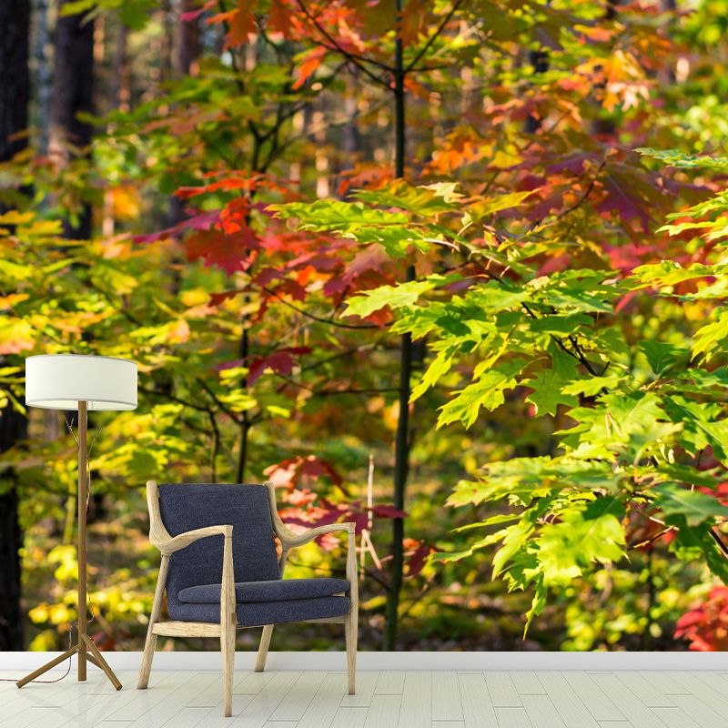 Forest Wall Paper Murals Moisture Resistant Wall Decor for Sleeping Room