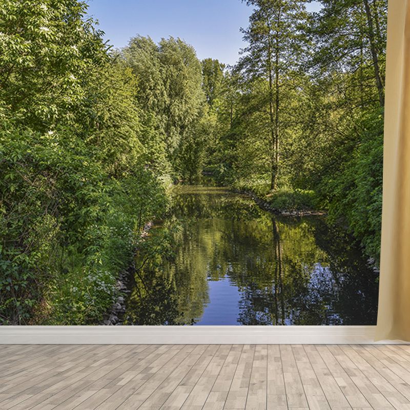 Natural Scene Mildew Resistant Forest Mural Contemporary Photography Room Wall Mural