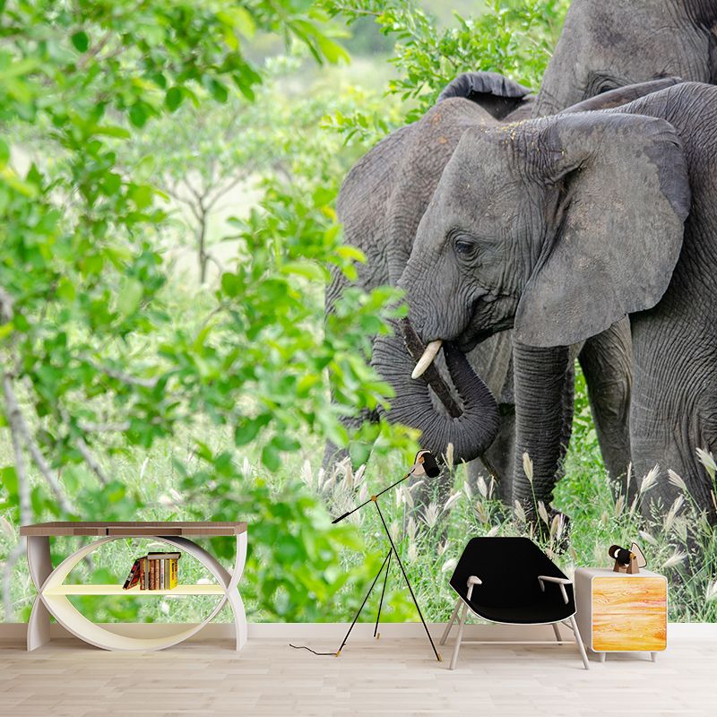Elephant Animal Mural Wallpaper Stain Resistant Wall Covering for Living Room