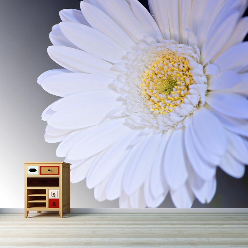 Customized Gerbera Wall Mural Horizontal Photography for Sleeping Room Decoration