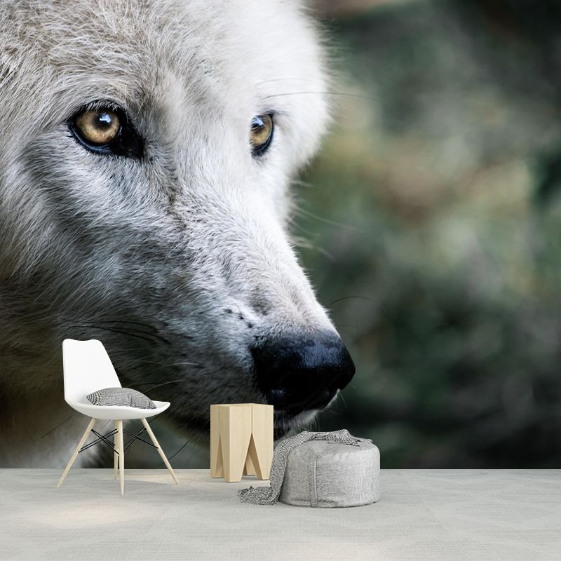 Customized Wolf  Wall Mural Horizontal Photography for Sleeping Room Decoration