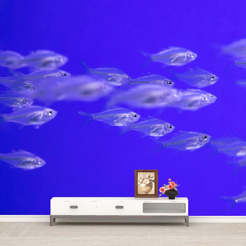 Decorative Photography Modern Wallpaper Underwater Living Room Wall Mural