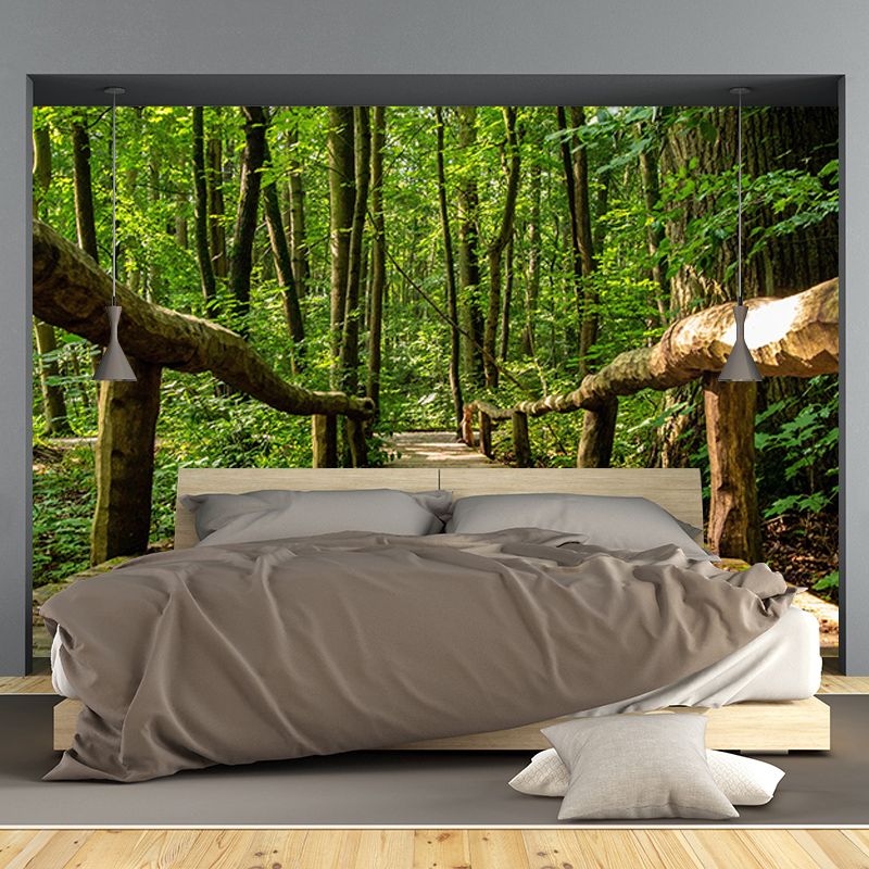 Forest Scene Mural Space Extension Wall Mural Mildew Resistant Decorative Wall Art