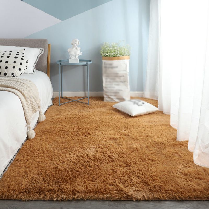 Modern Solid Shag Carpet Polyester Indoor Rug Non-Slip Backing Area Carpet for Adult's Bedroom