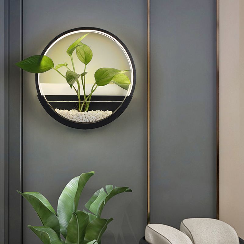 Éclairage de paroi circulaire en acrylique Ponde de mur à LED artistique avec fonction de récipient végétal