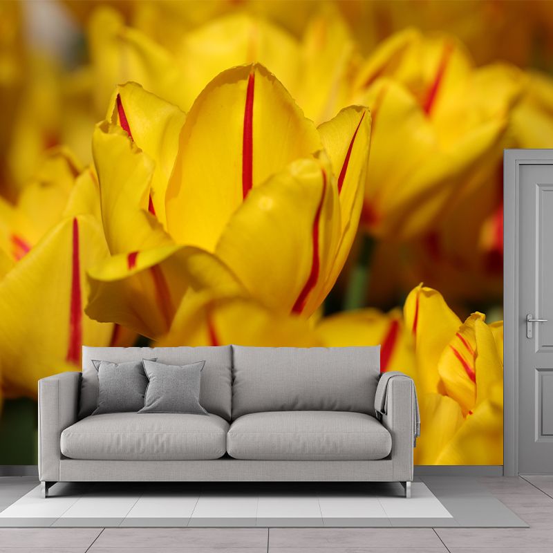 Tulips Mural Wallpaper Wall Covering Mildew Resistant for Sleeping Room