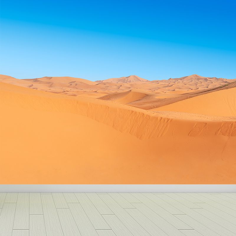 Contemporary Style Desert Mural Decal Water Resistant, Made to Measure