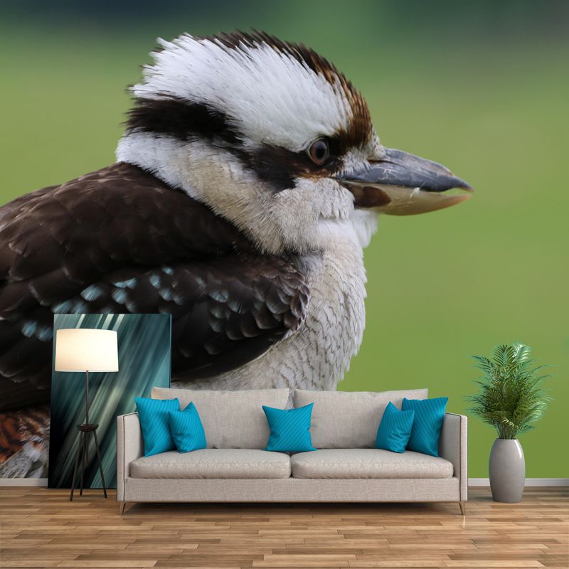 Horizontal  Photography Kookaburra Wall Mural Decorative Mildew Resistant for Living Room