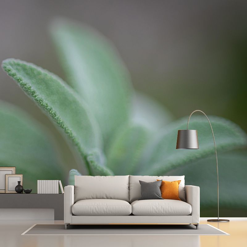 Herb Painting Mural Decal Modern Mildew Resistant Wall Covering for Decoration