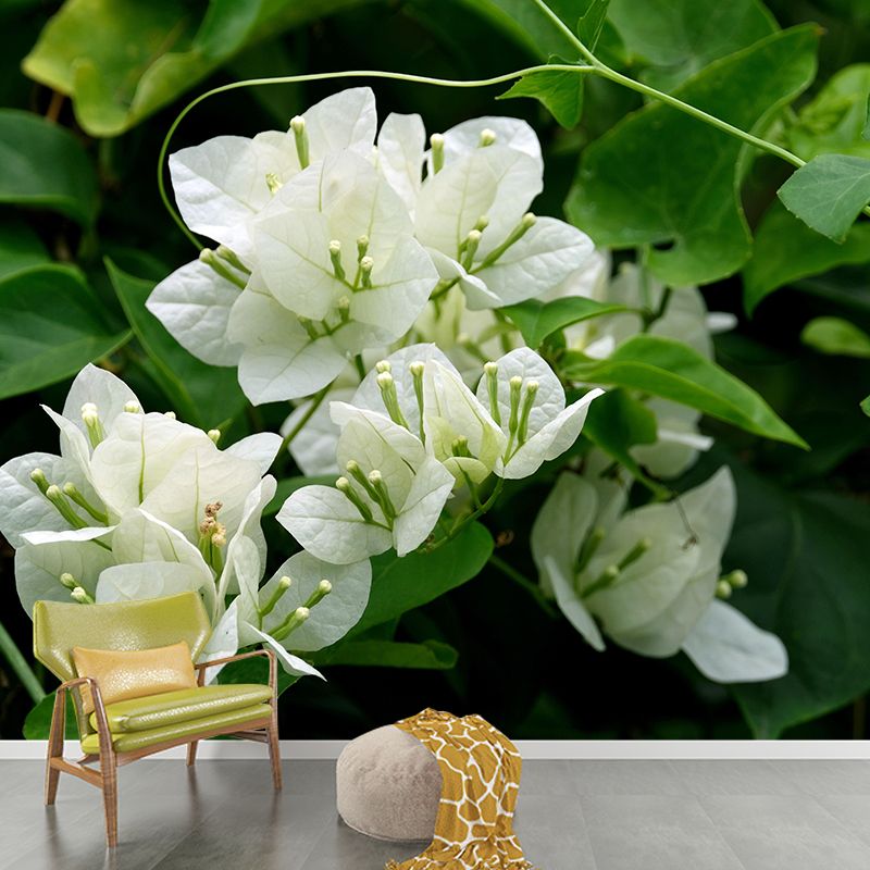 Blooming Bougainvillea Mural Wallpaper Environmental Contemporary for Bedroom