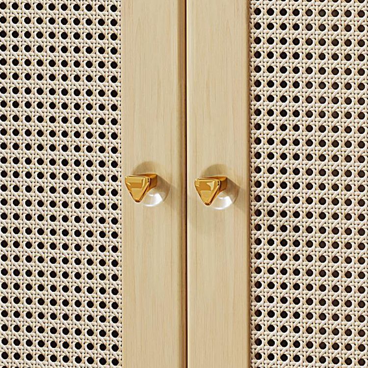 2 - Drawer and 2-Door Cabinet 42.5" Tall Rattan Storage Cabinet