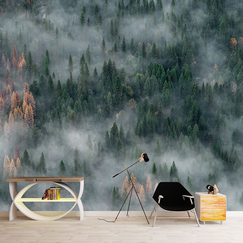 Photography Stain Resistant Wall Mural Wallpaper Quiet Forest Sitting Room Wall Mural