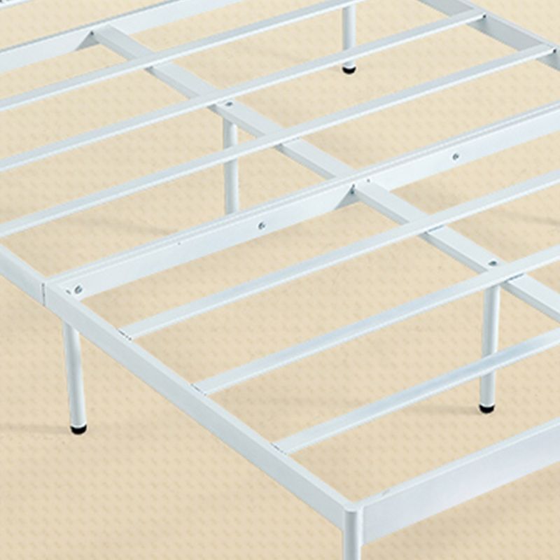 Glam Standard Bed Metal Open-Frame Bed with Custom Gold Legs