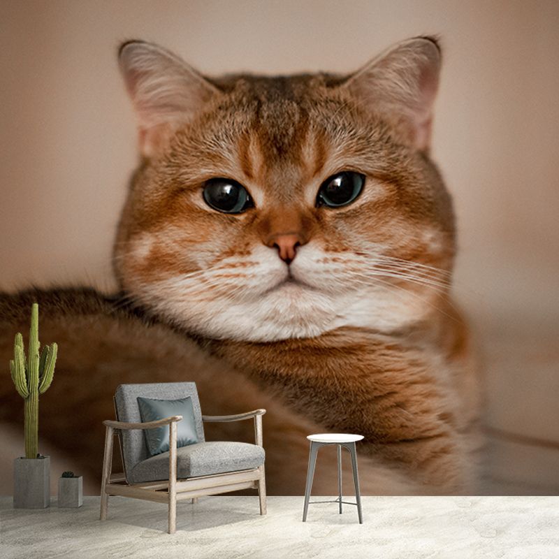 Photography Environment Friendly Mural Wallpaper Cute Cats Bedroom Wall Mural