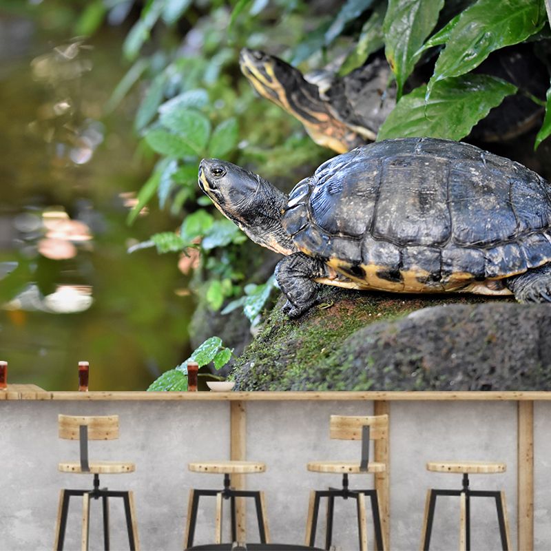 Customized Tortoise Mural Decal Eco-friendly Wallpaper for Living Room Wall Art