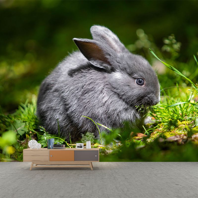 Chinchilla Rabbit Contemporary Wall Mural Modernist Wall Covering for Bedroom Decor