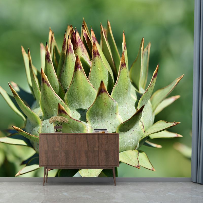 Artichoke Painting Mural Decal Modern Mildew Resistant Wall Covering for Decoration