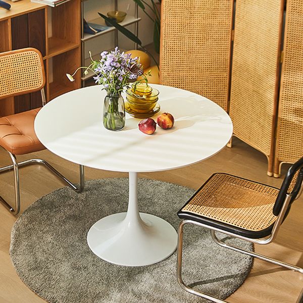 Round Tulip Base Modern Dining Table White Fixed Table with Sintered Stone