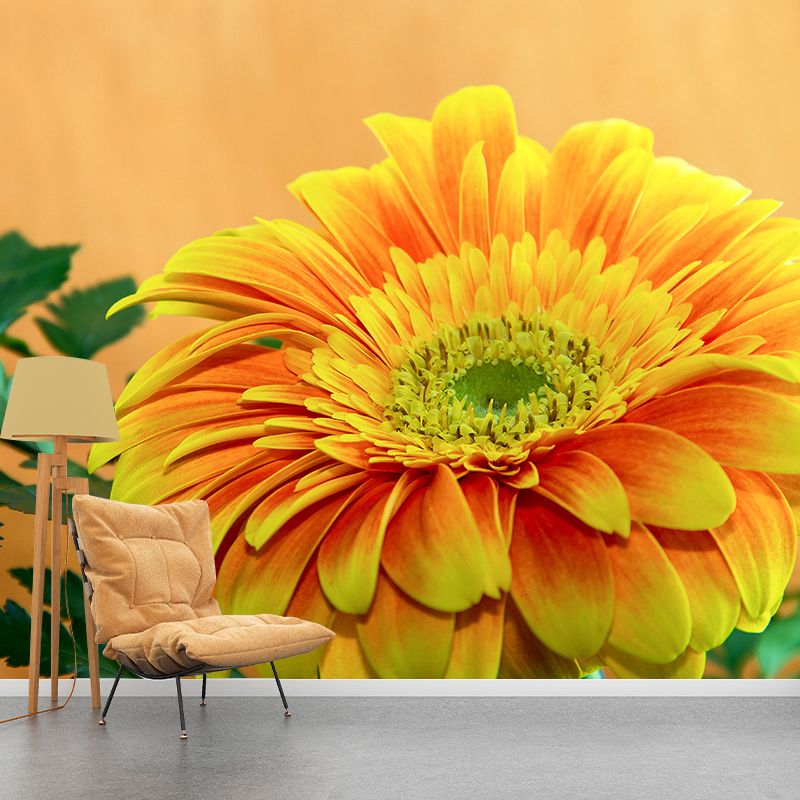 Chrysanthemum Removable Wall Mural for Girl's Bedroom, Custom Size Available